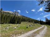 Lugauer (2217m) Vračanje po cesti. 