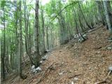 Kal-Koritnica - Lipnik (nad Lepeno)