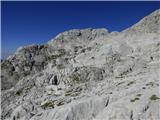 Vrh Žlebi / Monte Slebe