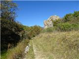 pogled nazaj