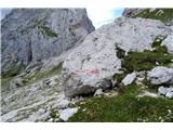 Na razcepu izbereva spodnjo, direktno pot. Zgornja bi nama pobrala preveč časa