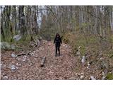 Baragova pot Gozdna pot je na debelo pokrita z listjem, pod njim pa polno skritega kamenja