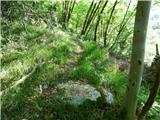 Planina Polog - Žlejžn