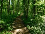 Žejno (Foto Ivanšek) - Sveti Vid (Šentviška gora)