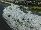 V Šulincih.