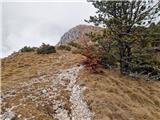 Mala Učka - Vojak
