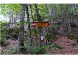 Prima Pala di San Lucano - 2221 m Midva nadaljujeva svojo pot. Kasneje se bova odcepila na 765