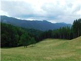 Črna na Koroškem - Najevska lipa