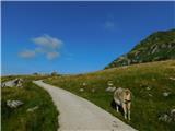 Planina Kuhinja - Planina Zaslap