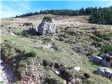 na Planini Zgornja dolga njiva