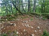 Stojdraga (Glažuta) - Gradina Tuščak 