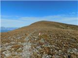 Parkirišče Hoyer (Neuhofgraben) - Lärchkogel (Glinska planina / Gleinalpe)