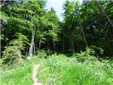 Jesenovo - Črni vrh (Čemšeniška planina)