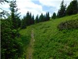 Hirschegg - Hirschegger Alm (južni vrh)