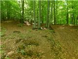 Dolina Gračnice (Blatnik) - Sveti Lovrenc (above Okroglice)