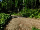 Čatež ob Savi - Sveti Vid (Šentviška gora)