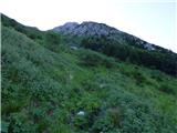 Planina Zapleč - Srednji vrh (at Krn)