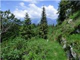 Kal-Koritnica - Lipnik (nad Lepeno)