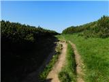 Raxalm-Berggasthof (Rax) - Preiner Wand (Rax)