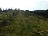 Parkirišče Hoyer (Neuhofgraben) - Lärchkogel (Glinska planina / Gleinalpe)