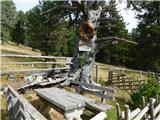 Waldheimhütte - Köhlerhütte