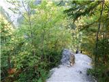 Hotel Boka - Planina Baban