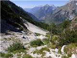 Bavšica - Zagorelec