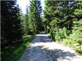 Nassfeld - Planina Javornik / Auernig Alm