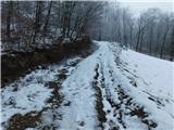 Loka pri Žusmu (Hudi graben) - Plešivec (Rudnica)