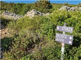 Ist - Straža (otok Ist)