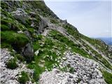 Planina Zapleč - Krn