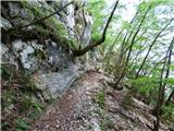 Kal-Koritnica - Lipnik (nad Lepeno)