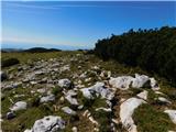 Lučka Bela (Za Loncem) - Deska (Veža)