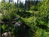 Smučišče Koralpe (Koralpenparkplatz) - Seespitz (Koralpe)