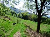 Planina Polog - Žlejžn