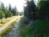 Alpl (Waldschulle Alpl) - Holta-Hütte (Rattner Alm)