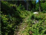 Podkraj / Unterort - Wackendorfer Spitze