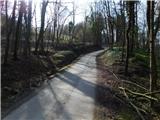 Pristava pri Mestinju - Tinska gora