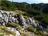 Lučka Bela (Za Loncem) - Kocbekov dom na Korošici
