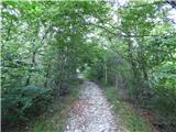 Drežniške Ravne - Planina Zapleč