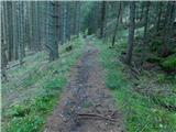 Parkirišče Hoyer (Neuhofgraben) - Lärchkogel (Glinska planina / Gleinalpe)