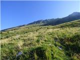 Planina Zapleč - Kal (greben Krnčice)
