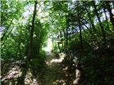 Kal-Koritnica - Lipnik (nad Lepeno)