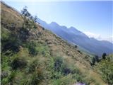 Planina Zapleč - Kal (greben Krnčice)
