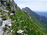 Planina Zapleč - Srednji vrh (pri Krnu)