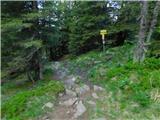 Glashütten (Gasthof Almwirt) - Handalm