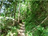 Jesenovo - Črni vrh (Čemšeniška planina)