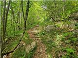 Podoštra - Oštra