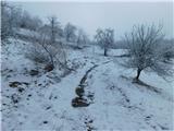 Loka pri Žusmu (Hudi graben) - Plešivec (Rudnica)