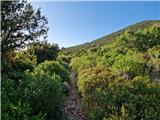 Ist - Straža (otok Ist)